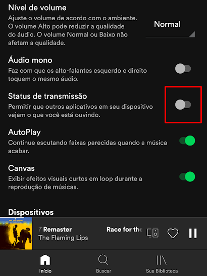 Ative a configuração no aplicativo do Spotify (Imagem: André Magalhães/Captura de tela)