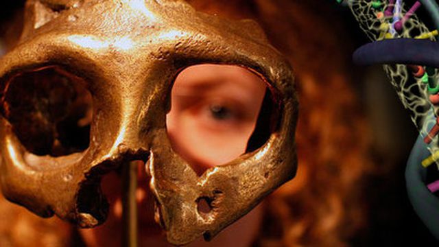 Pesquisadores conseguiram sequenciar  o genoma de uma garota neandertal 
