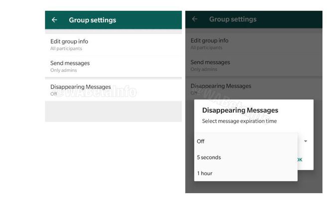 O usuário poderá escolher quanto tempo a mensagem poderá ficar no ar no WhatsApp  (Imagem: WABetaInfo)