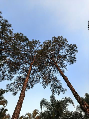 Huawei Pura 80 Ultra - câmera telefoto