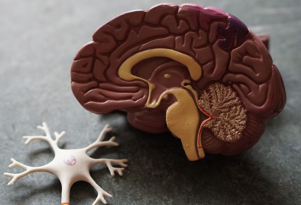 Névoa cerebral continua sendo um mistério dentre os sintomas da COVID-19 (Imagem: Robina Weermeijer/Unsplash)