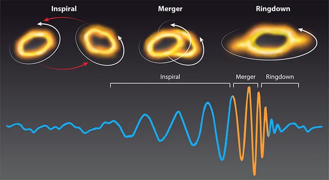 Acima, as etapas de uma fusão entre dois buracos negros; abaixo, um gráfico das ondas gravitacionais geradas, com um comportamento não-linear destacado em laranja (Imagem: Reprodução/Kip Thorne/BP Abbott et al./APS/Carin Cain)