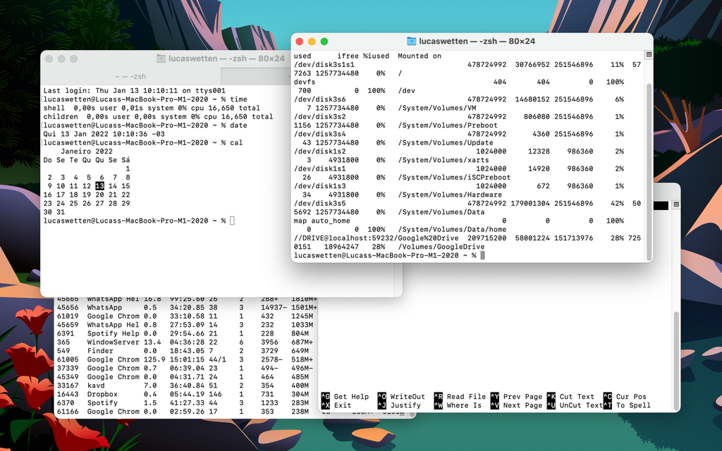 O terminal do macOS permite executar comandos para facilitar o uso da sua máquina (Captura de tela: Lucas Wetten)