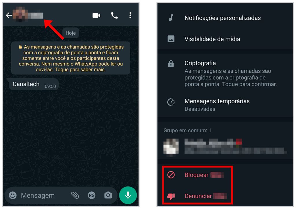 Acesse o menu de uma conversa específica no WhatsApp e selecione "Bloquear" ou "Denunciar" (Captura de tela: Matheus Bigogno)