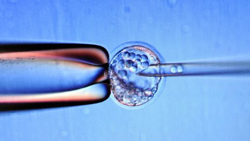 Técnica CRISPR será usada em humanos pela 1ª vez para tratamento de cegueira