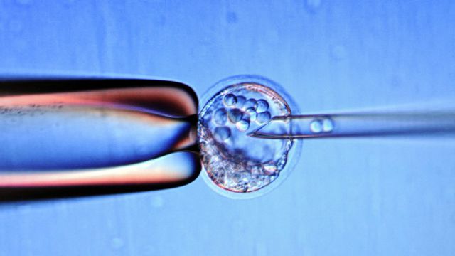 Cientista chinês pode ter modificado o DNA de um terceiro bebê