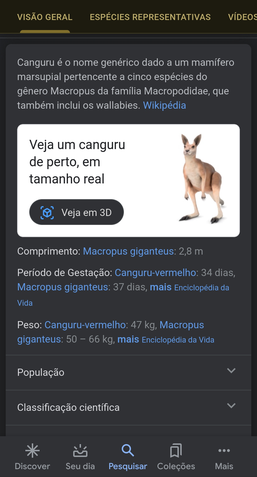 Realidade aumentada Google - canguru