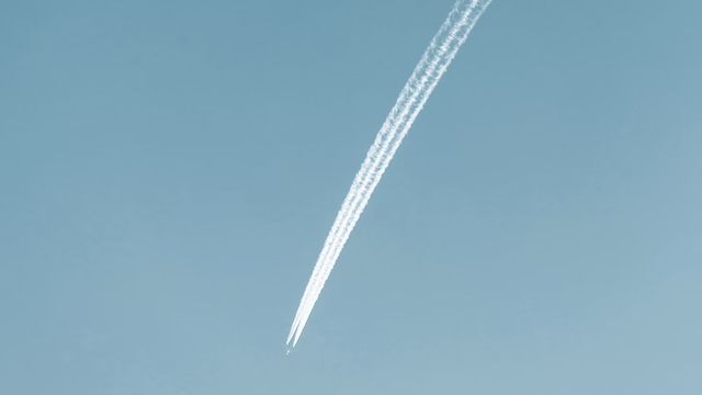 Vino Li/Unsplash