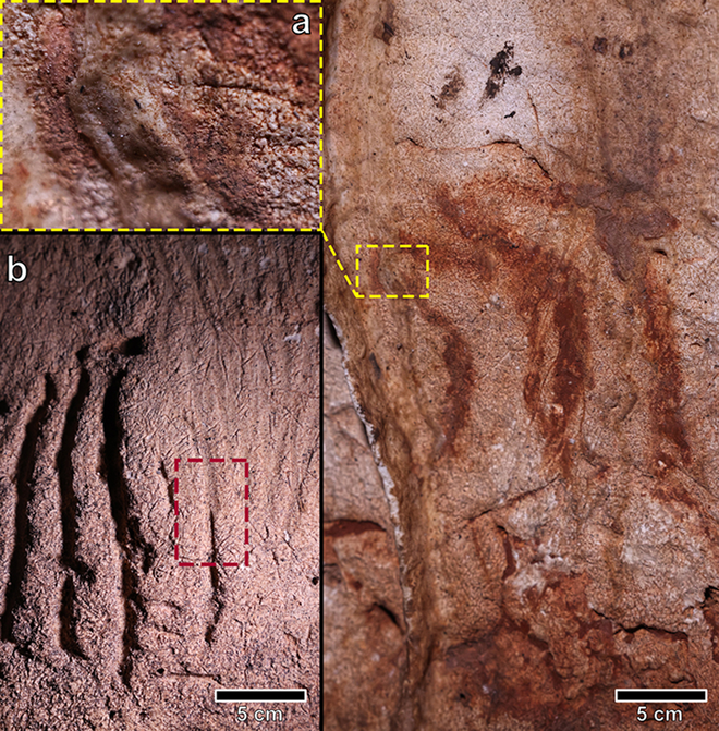 Detalhe da calcita cobrindo a cabeça de uma corça desenhada na caverna; marcas das garras de urso-das-cavernas (Imagem: Ruiz-Redondo et al./Antiquity)