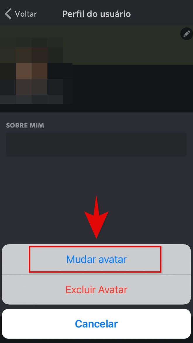 Como alterar a foto de perfil do Discord - Blog Cursos de Qualidade