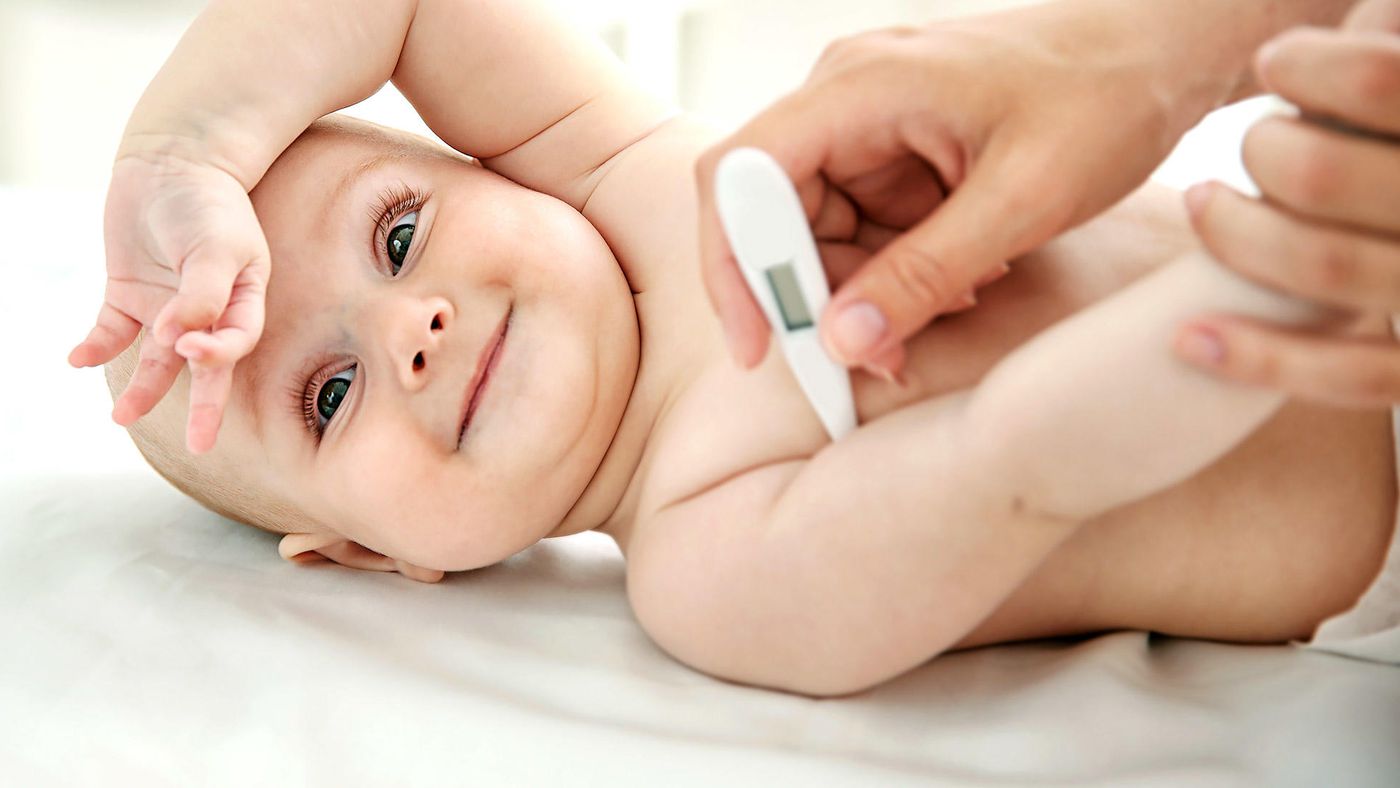 Protege O Corpo Ajuda A Regular A Temperatura Recebe Estímulos
