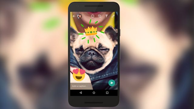 WhatsApp começa a testar recursos à la Snapchat