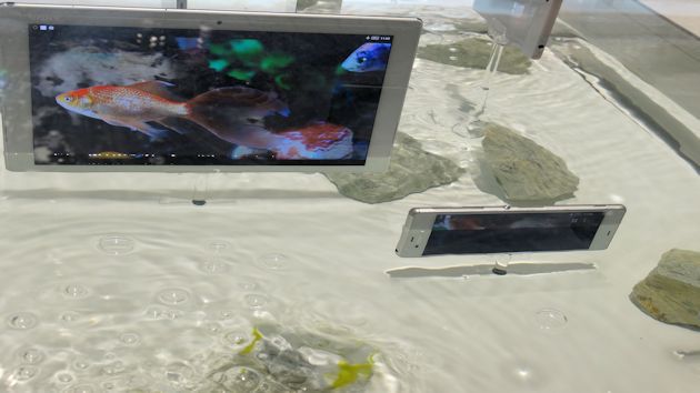 Sony Xperia M4 Aqua Sony Xperia M4 Aqua