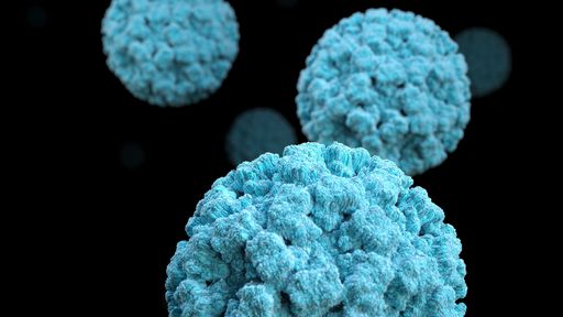 Norovírus: conheça o principal causador das famosas viroses gastrointestinais