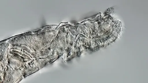 Esta espécie foi ressuscitada e pôde se reproduzir após 24 mil anos congelada