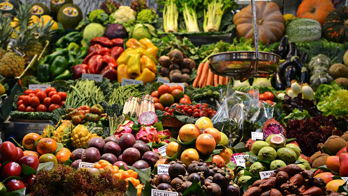 Cientistas listam os melhores vegetais para cultivar e sobreviver a catástrofes