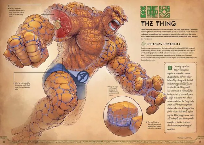Marvel anuncia livro com ilustrações de anatomia de seus principais heróis 