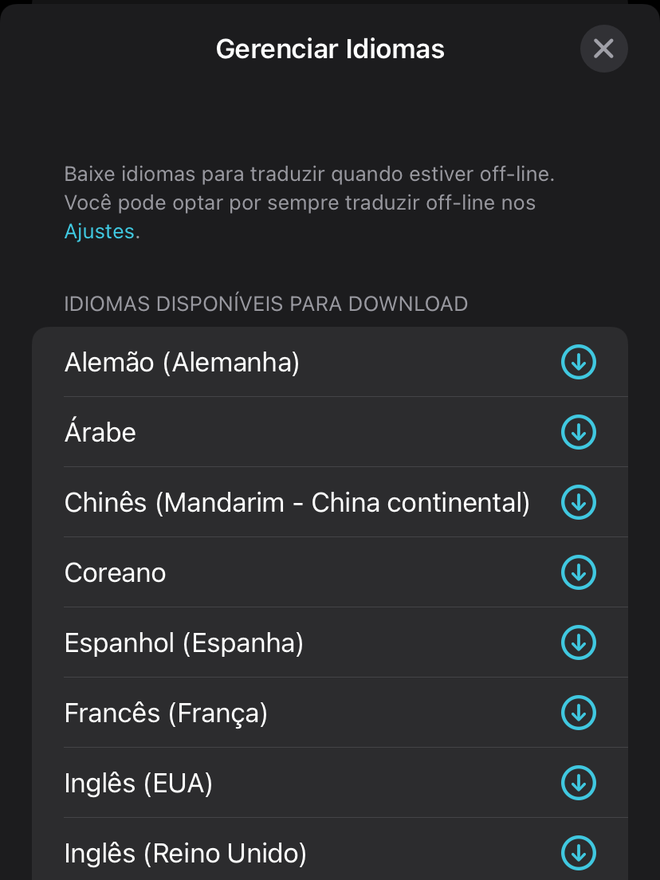 Baixe idiomas para acessá-las offline no Traduzir - Captura de tela: Thiago Furquim (Canaltech)