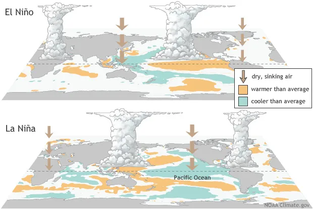 No La Ninã, ocorre o oposto do El Niño, ou seja, as águas do oceano Pacífico sofrem resfriamento anormal (Imagem: Reprodução/NOAA) 