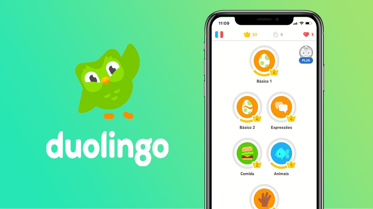 Quais são as divisões do Duolingo?