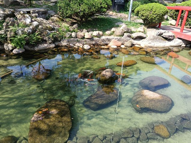 Fotos tiradas com o Oppo A5 Pro