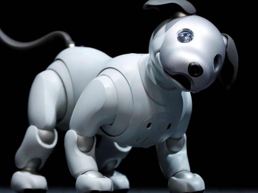 Nova versão do cachorro robô Aibo ganha data de lançamento no