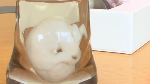 Ultrassom é passado: empresa cria modelo em 3D do feto na barriga da mãe