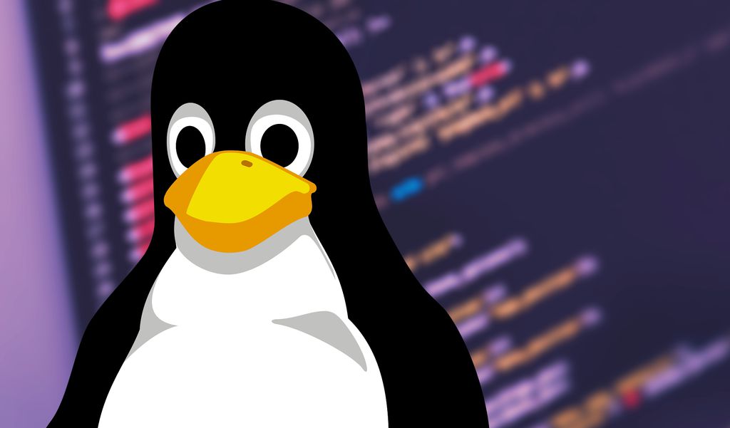 Linux é um sistema de código aberto baseado nos padrões do Unix (Imagem: Douglas Ciriaco/Canaltech)