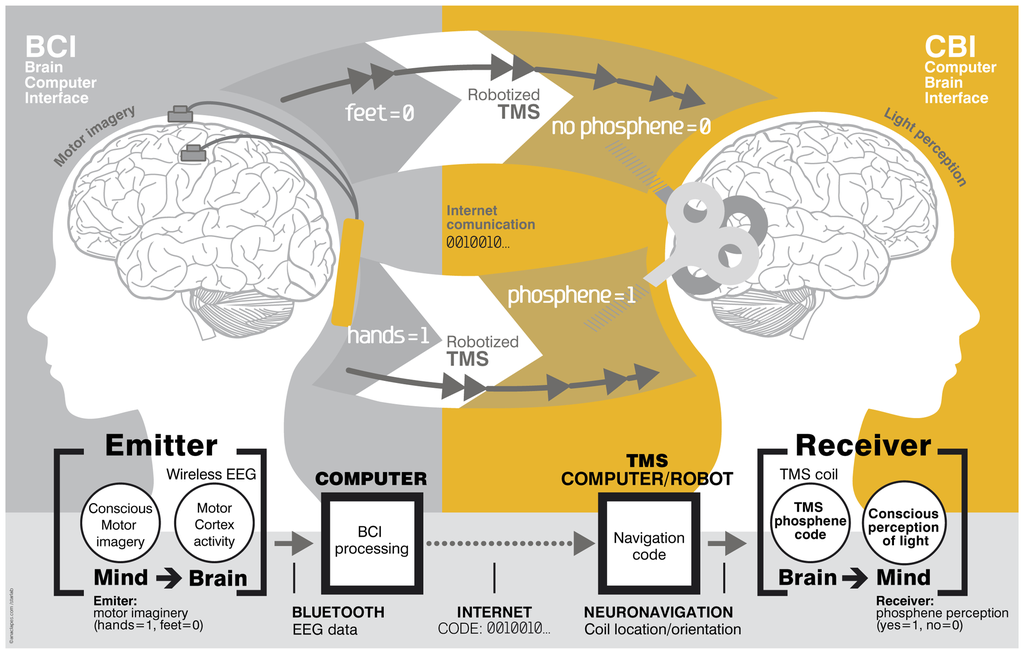 A primeira “rede social de cérebros” faz pessoas transmitirem seus pensamentos