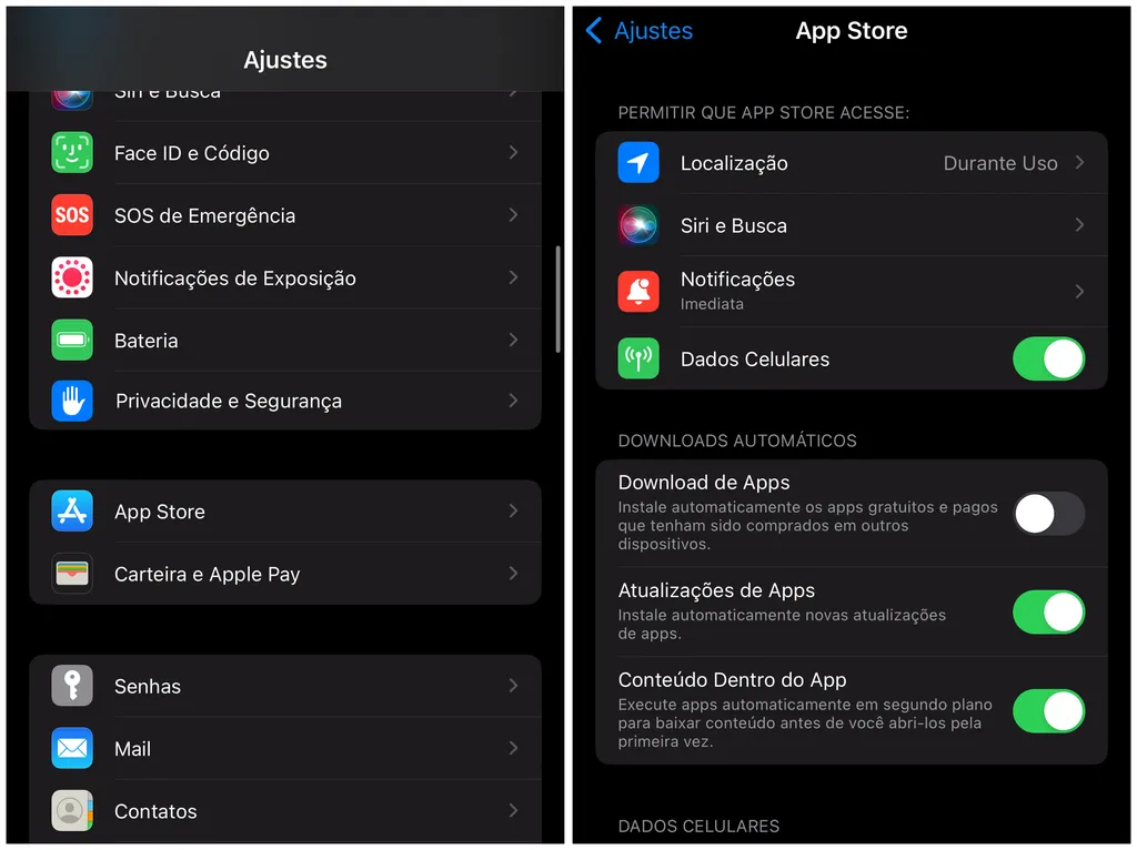 Ajuste o iOS para atualizar aplicativos baixados automaticamente (Imagem: Captura de tela/Thiago Furquim/Canaltech)