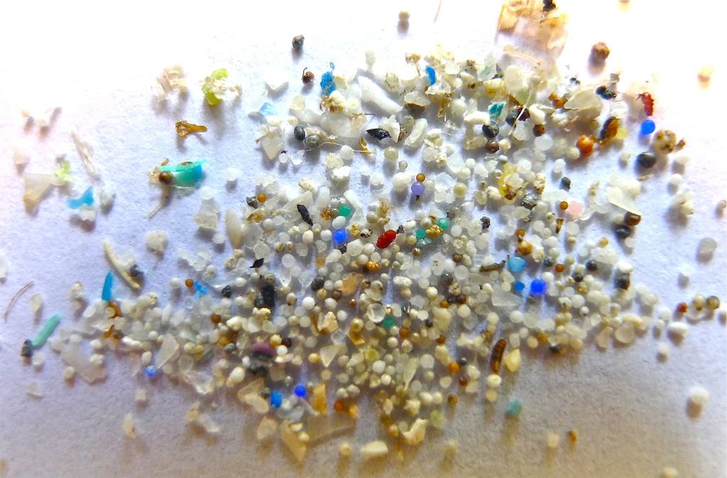 Cientistas sugerem estratégias contra o microplástico (Imagem: Oregon State University/Wikimedia Commons)