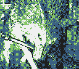 Game Boy Camera