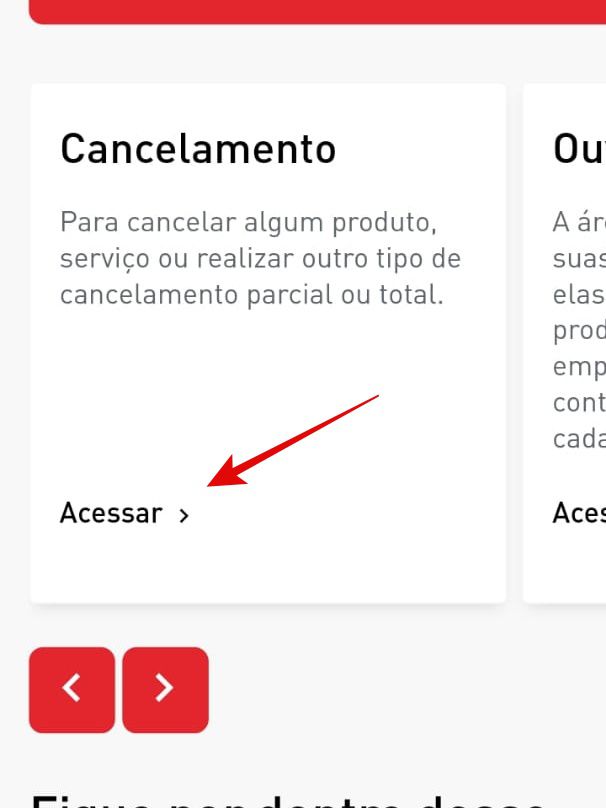 Acesse a parte de cancelamento no fim do página (Imagem: Guadalupe Carniel/Captura de tela)