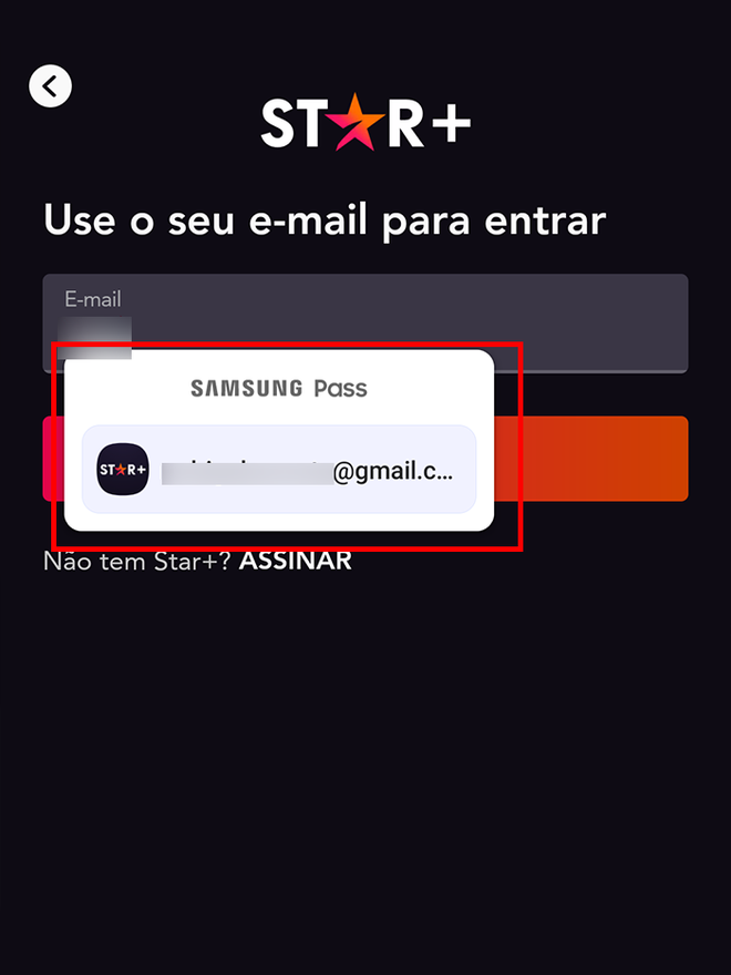 Use o Samsung Pass para preencher informações (Imagem: André Magalhães/Captura de tela)