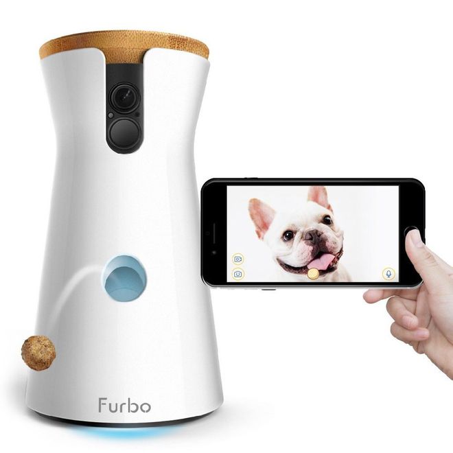 Dia Internacional do Cachorro | 10 gadgets perfeitos para seu "aumigo"