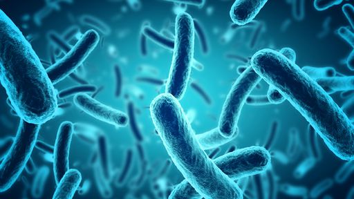 CTRL + X nas bactérias! Técnica edita e cria DNA bacteriano com precisão inédita