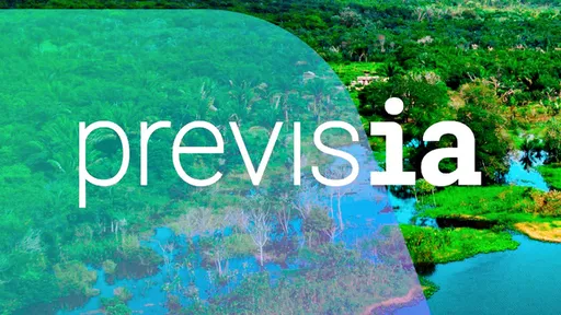 Microsoft usa IA em plataforma para proteger a Amazônia do desmatamento