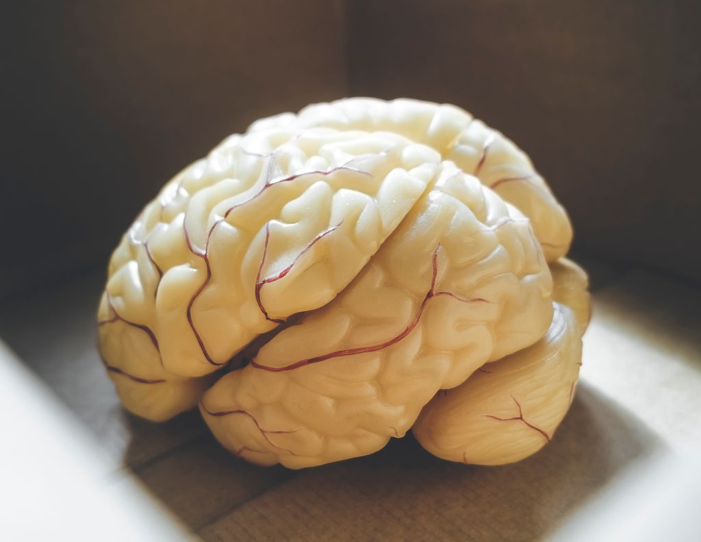 Pesquisadores acham cobre e ferros incomuns no cérebro de pessoas com alzheimer (Imagem: twenty20photos/envato)