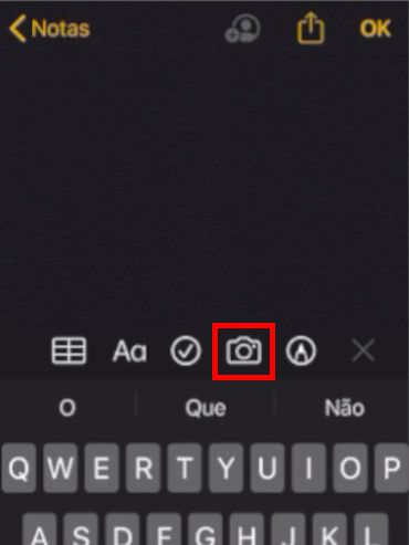 Selecione o ícone de câmera para abrir um menu de opções (Captura de tela: Matheus Bigogno)
