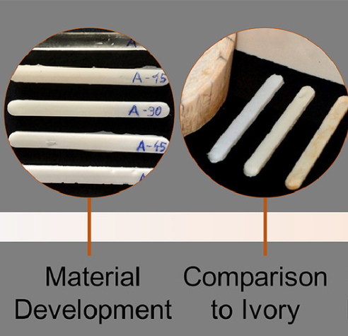 Comparação Marfim x Digory (Imagem: Reprodução/Vienna University)