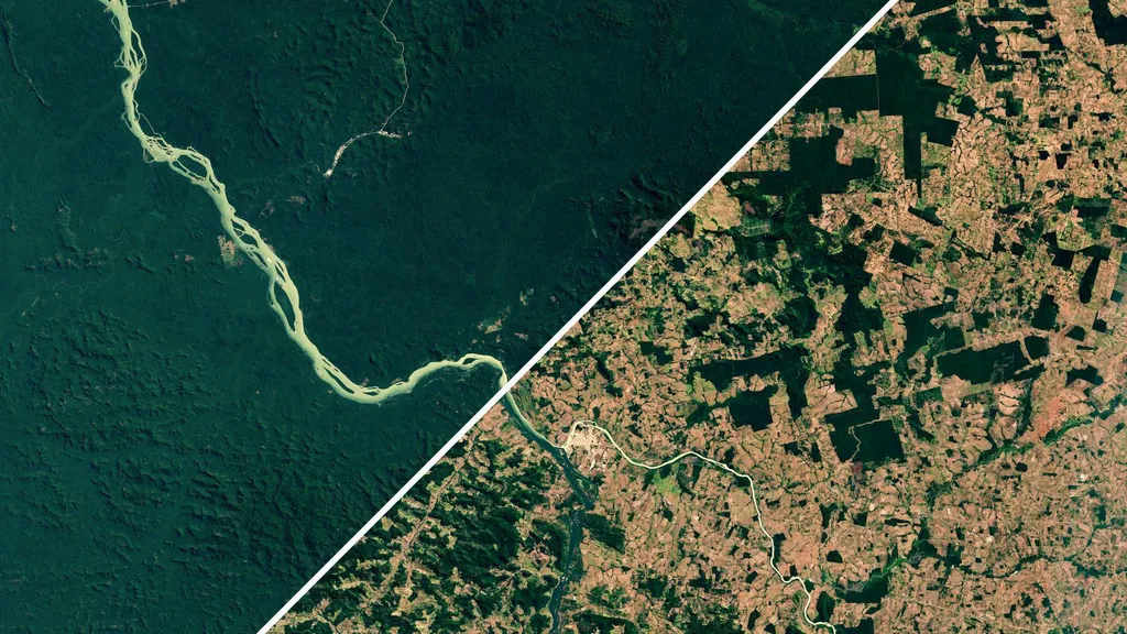 Imagens de satélite forneceram a extensão do desmatamento nas áreas estudadas (Imagem: Reprodução/NASA)