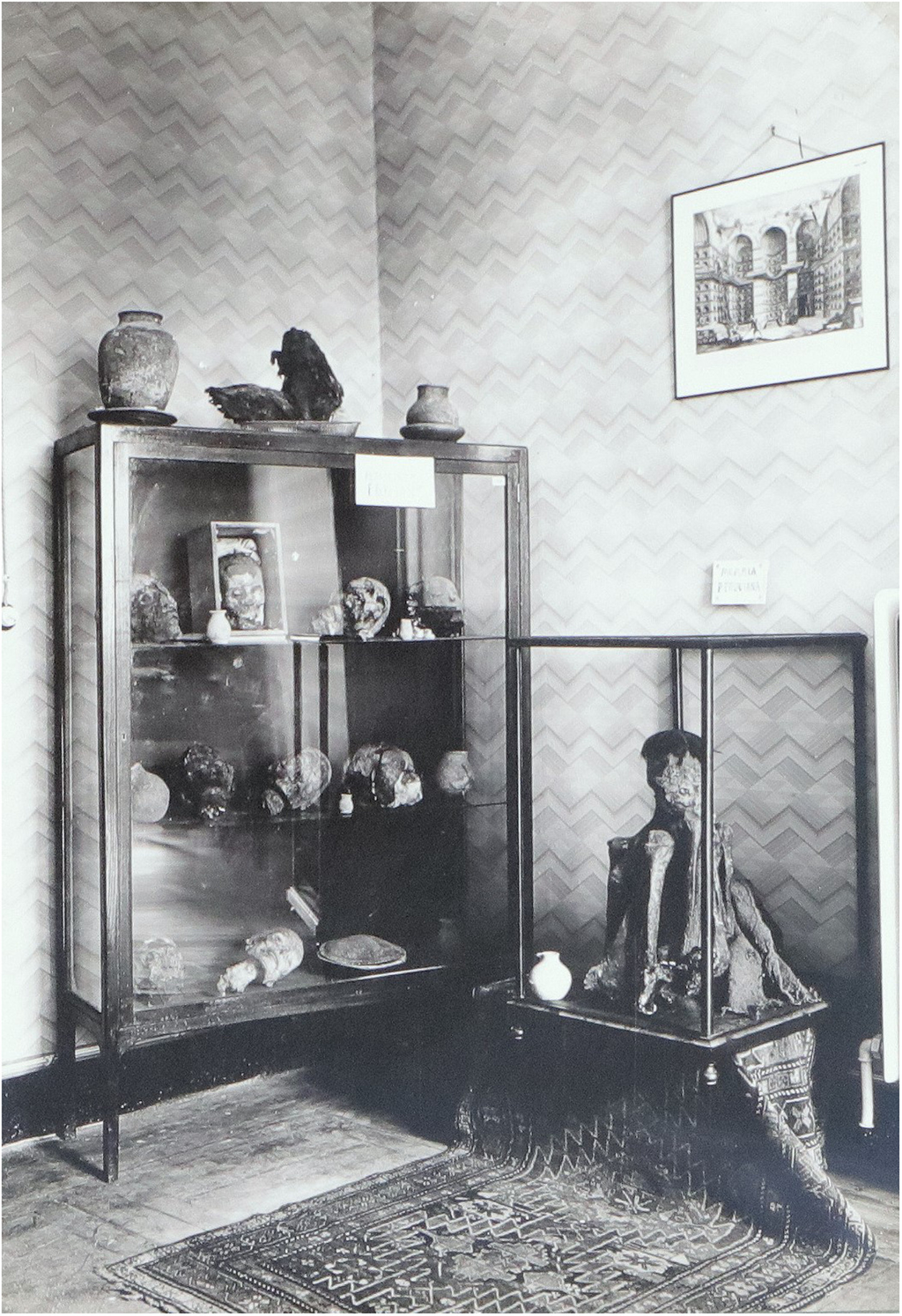 A múmia provavelmente andina em questão, preservada no interior de um vidro, em foto de 1930 (Imagem: Mangiapane et al./Journal of Cultural Heritage)