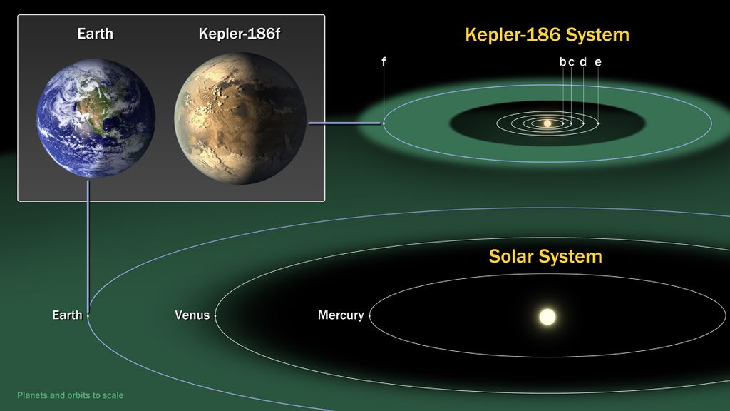 Kepler Kepler
