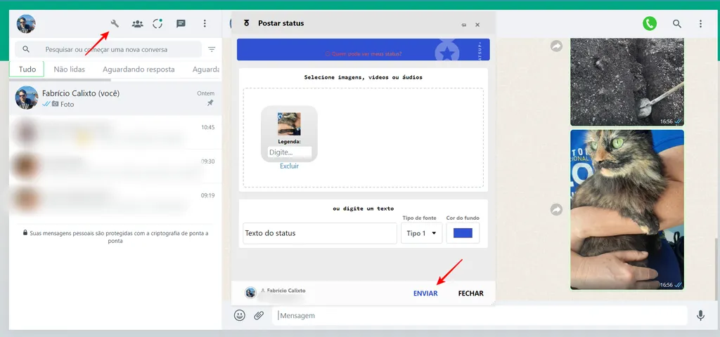 Você pode postar Status no WhatsApp Web usando a extensão WhatsUp+ (Imagem: Captura de tela/Fabrício Calixto/Canaltech)