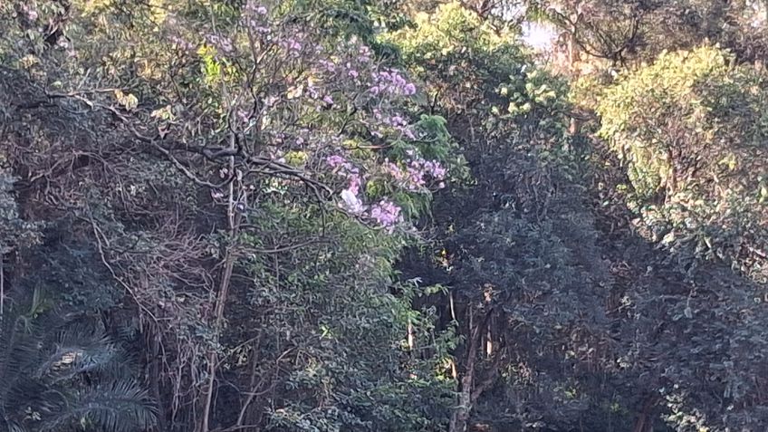 Foto com zoom óptico 4x do Samsung Galaxy M35