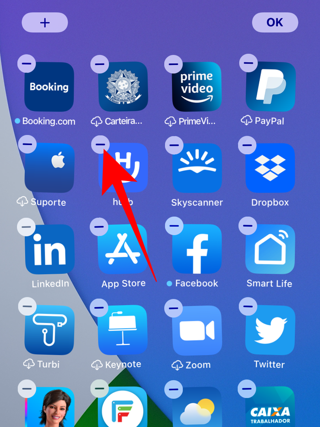 Clique no ícone de "-" do app que você deseja apagar. Captura de tela: Lucas Wetten (Canaltech)