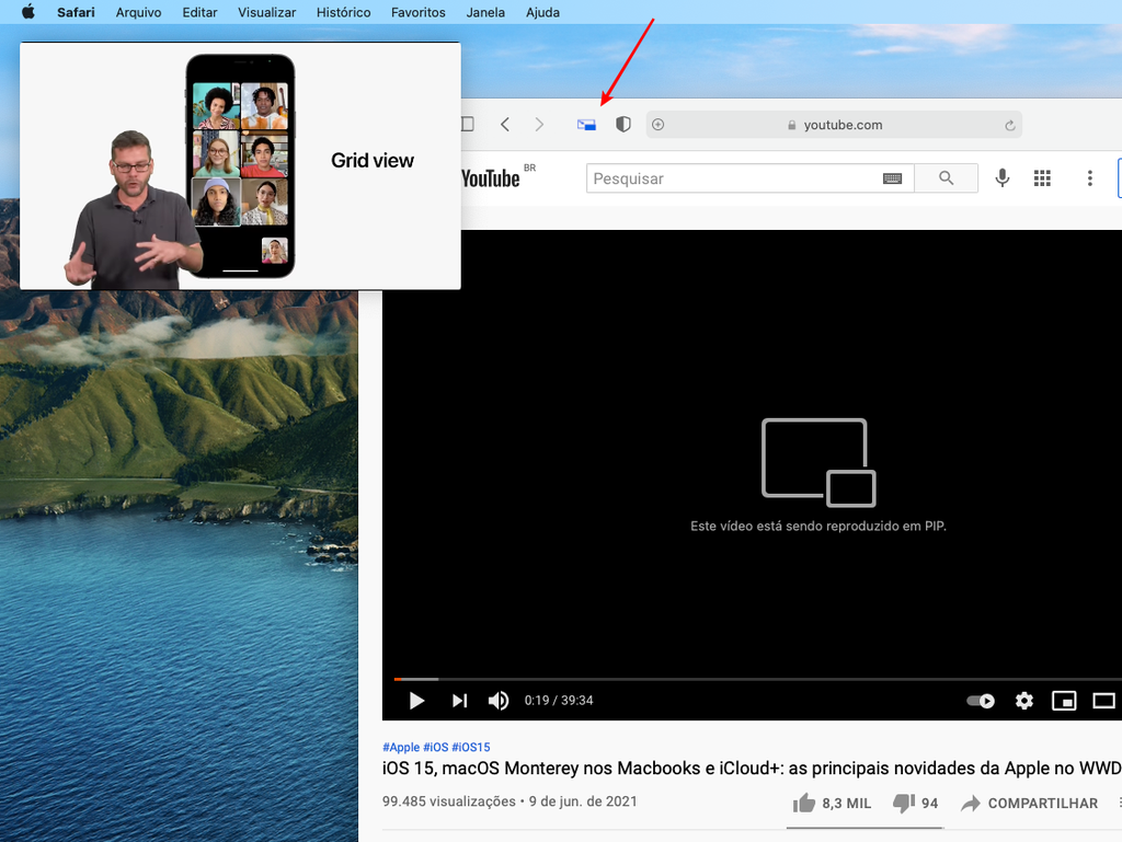 Toque no ícone da extensão sempre quando estiver em azul para ativar a miniatura em vídeo no Mac - Captura de tela: Thiago Furquim (Canaltech)