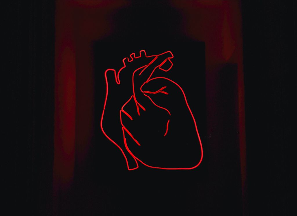 No Dia Mundial do Coração, médica explica quais são os principais exames do check-up cardiológico (Imagem: Alexandru Acea/Unsplash)