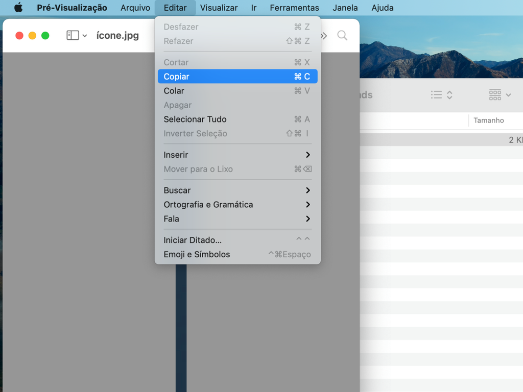 Na barra superior do macOS, clique em "Copiar" - Captura de tela: Thiago Furquim (Canaltech)