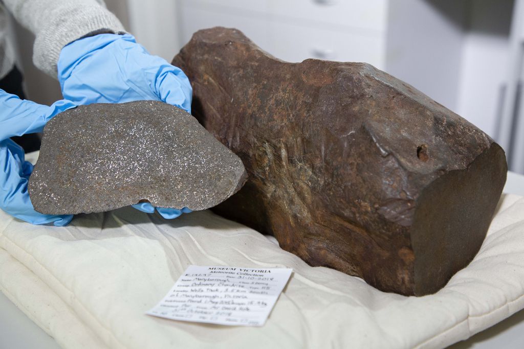 O meteorito de Maryborough (Imagem: Reprodução/Museums Victoria/Rod Start)